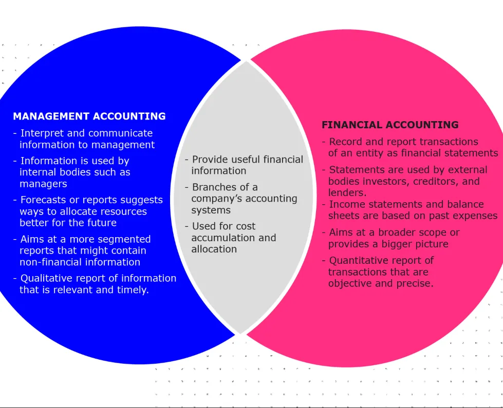 Management Accounts vs Financial Accounts: Choosing the Right Tool for Your Business